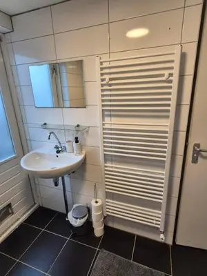 a small bathroom with a sink and a shower at Amsterdam ZaanseSchans House in Krommenie