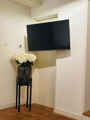 a tv on a wall with a vase of flowers at Boutique LaBeau in Amsterdam