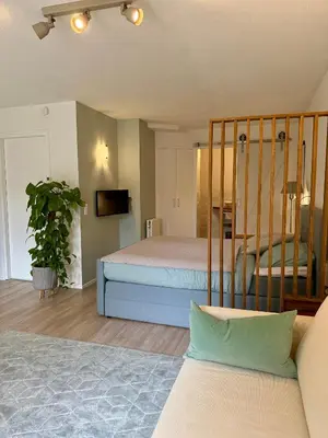 a bedroom with a bed and a tv in a room at Zeegroen in Zandvoort