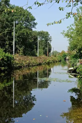 a river with trees and reflections in the water at Amsterdam Forest Hotel in Amstelveen