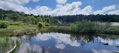 a river with trees and clouds in the water at Puur Schoorl in Schoorl