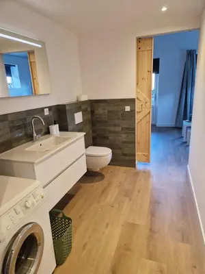 a bathroom with a toilet and a sink and a washing machine at B&Boerderij De Veldmuis in Eemdijk