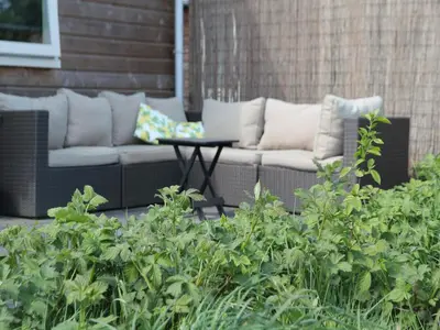 a patio with a couch and a table and some plants at Pet-Friendly Bungalow in Warmenhuizen