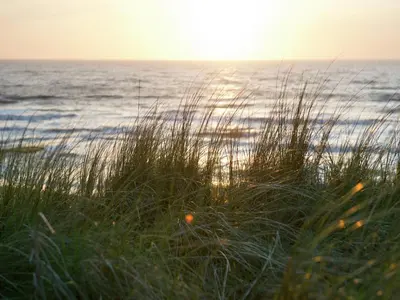 a field of grass with the ocean in the background at Pet-Friendly Bungalow in Warmenhuizen