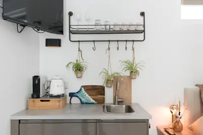 a kitchen with a sink and potted plants on the wall at Ben Thuis Studio Alkmaar in Alkmaar