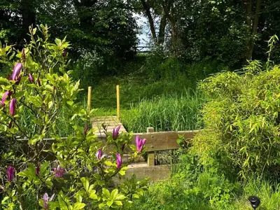 a wooden bench in the middle of a field of flowers at Duynhof nabij Strand, duinen, bos en stad - 5 personen in Warmenhuizen