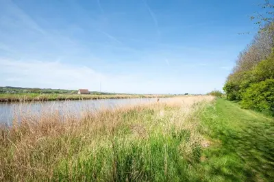 a field of tall grass next to a body of water at Duynhof nabij Strand, duinen, bos en stad - 5 personen in Warmenhuizen