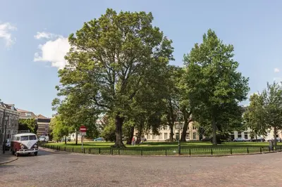 a bus parked on a street next to trees at Park 43 in Haarlem