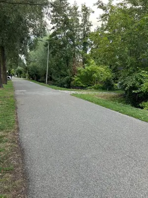 an empty road in a park with trees at Vlinder 2pers studio in Utrecht