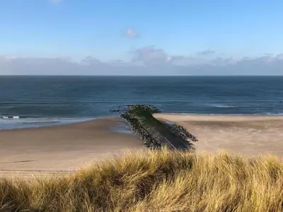 a beach with a tree in the sand and the ocean at Holiday Home in Schoorl near Dunes in Schoorl