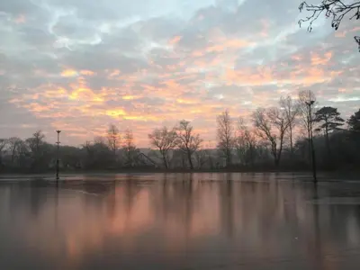 a flooded field with trees and a cloudy sky at Holiday Home in Schoorl near Dunes in Schoorl