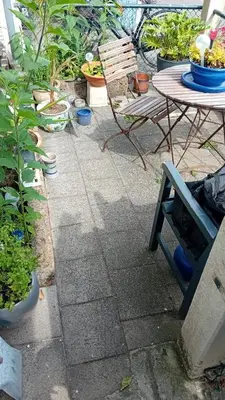 a patio with a table and chairs and potted plants at classic beach home in Zandvoort