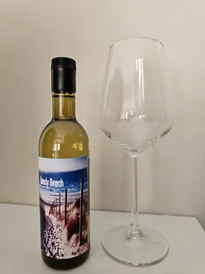 a bottle of wine next to a wine glass at Sandy beach 34 in Noordwijk