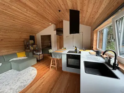 a kitchen and living room in a log cabin at Behouden Huis in Ons Belang