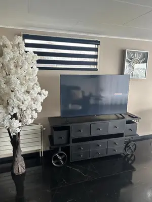 a living room with a tv and a tree at woonboot de dobber loosdrechtse plassen 4-8 personen in Loosdrecht