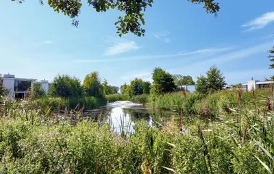 a river in a field with tall grass at Gorgeous Home In Nijkerk With Wifi in Nijkerk