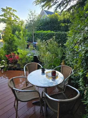 a table with two chairs and two cups on a patio at Ossestal in Assendelft