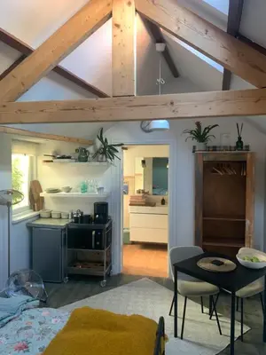 a kitchen and living room with a wooden ceiling at Little Betsy in Zandvoort