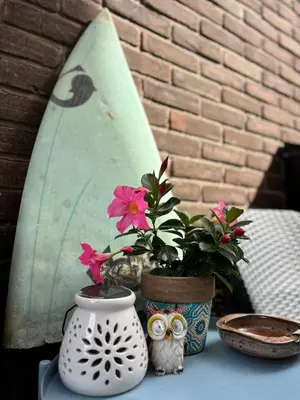 a table with a potted plant and a surfboard at Tiny House - Surfers Paradise in Noordwijk