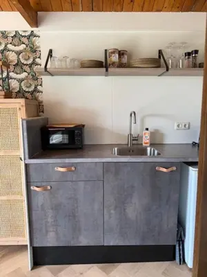 a kitchen with a sink and a microwave at 't Hoevehuisje in Beverwijk