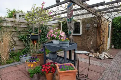 a garden with a pergola and some flowers and plants at Huize Zonnebloem in Beverwijk