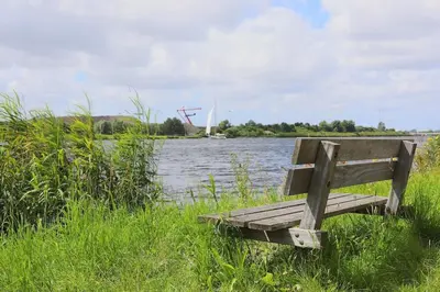 a wooden bench sitting in the grass near a body of water at Hemhuisje in Zaandam