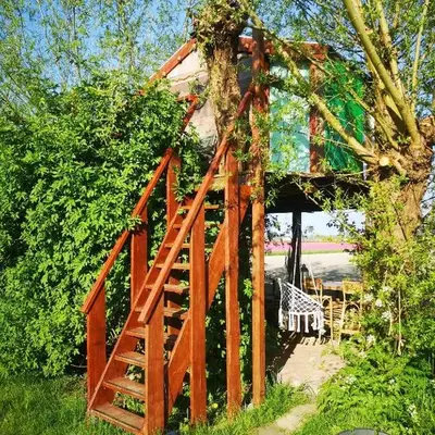 Sweet Treehouse