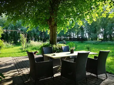 a table and chairs under a tree in a yard at Noorse Viking kamer en suite in Westbeemster