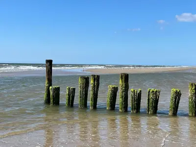 a row of posts in the water on a beach at Villa Louise in Bergen aan Zee