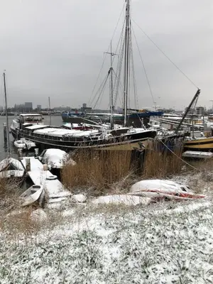 a group of boats docked in a harbor with snow at B&B BLoom in Amsterdam