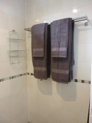 a bathroom with three towels hanging on a rack at B&B BLoom in Amsterdam