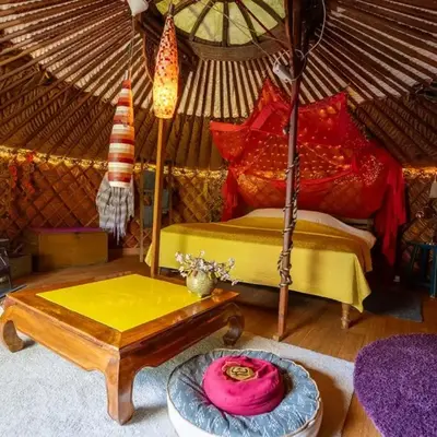 Reijgershof - Yurt Experience with garden view