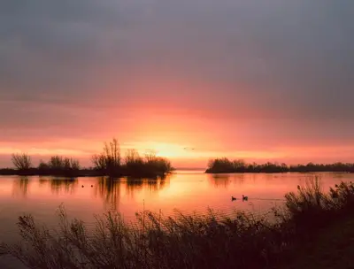 a sunset on a lake with ducks in the water at B&B Het Boompje in Wervershoof
