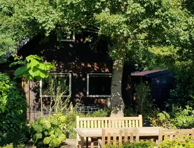 a wooden bench sitting under a tree in a garden at B&B de Prieelhoeve in Almere