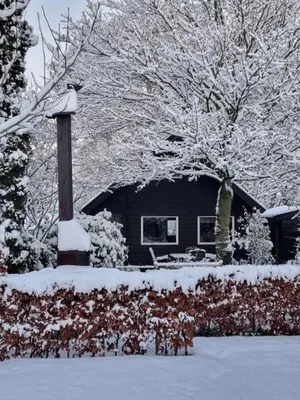 a house covered in snow in front of a yard at B&B de Prieelhoeve in Almere