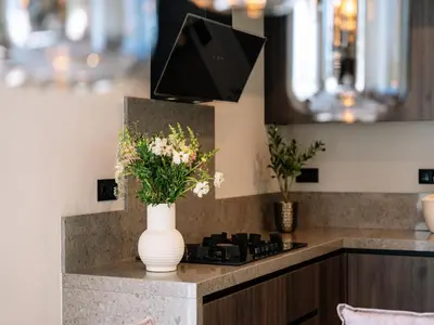 a vase of flowers on a counter with a tv at Stay with Private Pool & Hot Tub in Waarland