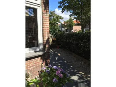 a window of a house with purple flowers next to it at Apartment in Zandvoort with swimming pool in Zandvoort