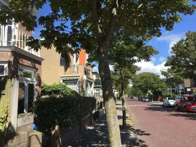 a tree on the side of a street at Apartment in Zandvoort with swimming pool in Zandvoort