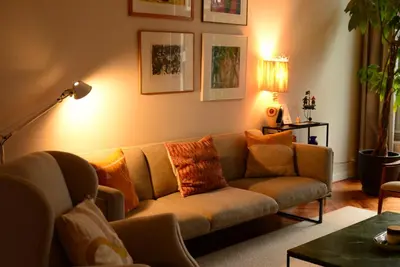 a living room with a couch with pillows on it at Entire home with direct Vondelpark view in Amsterdam
