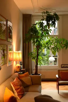 a living room with a couch and a tree at Entire home with direct Vondelpark view in Amsterdam