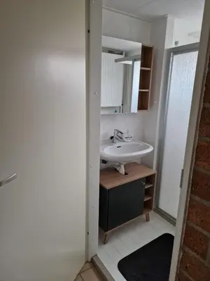 a bathroom with a sink and a mirror at Ferienhaus Sunny's Place in Egmond aan den Hoef
