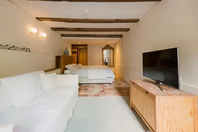 a living room with a white couch and a tv at Charming souterrain studio at Bloemgracht 30 in Amsterdam
