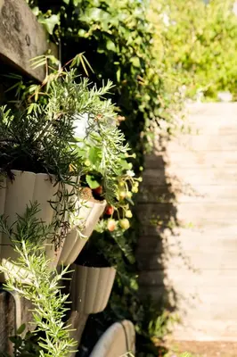 a row of potted plants on a wall at Moyeni in Zandvoort