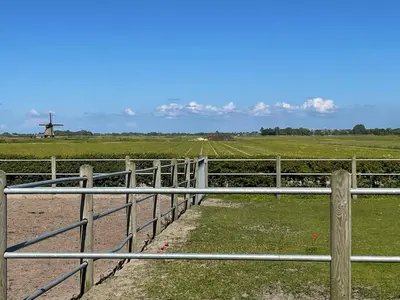 a fence in front of a field with a windmill at De Tuinkamer in Egmond aan den Hoef