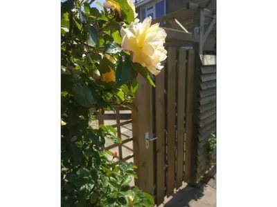 a white flower on a bush next to a fence at One-bedroom apartment in Heemskerk