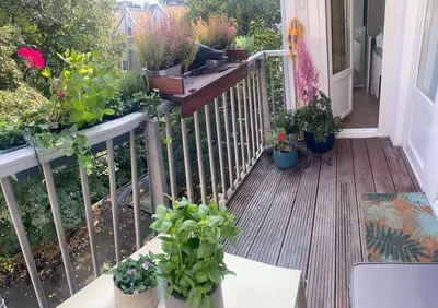a balcony with potted plants on a porch at Cozy Room in Oldwest with private bathroom in Amsterdam
