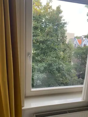 a window with a view of a tree at Cozy Room in Oldwest with private bathroom in Amsterdam