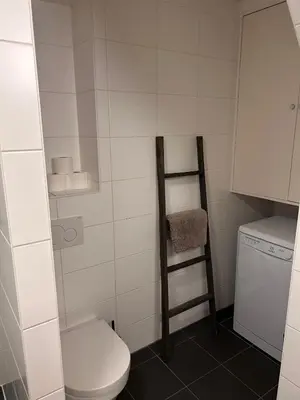 a small bathroom with a toilet and a ladder at Luxury Leidseplein with Private Patio in Amsterdam