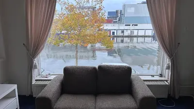 a couch in front of a window with a tree at Zaanvilla in Wormerveer