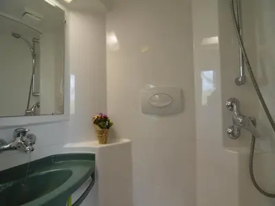 a bathroom with a green sink and a shower at Holiday Home in Noordbeemster with Bubble Bath in Noordbeemster